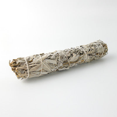 Sage Stick Hand-Harvested in La Paz BCS